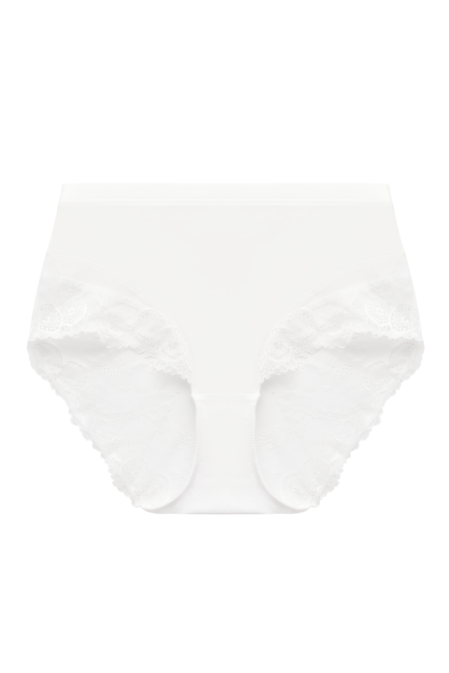 Amor High Waisted Briefs